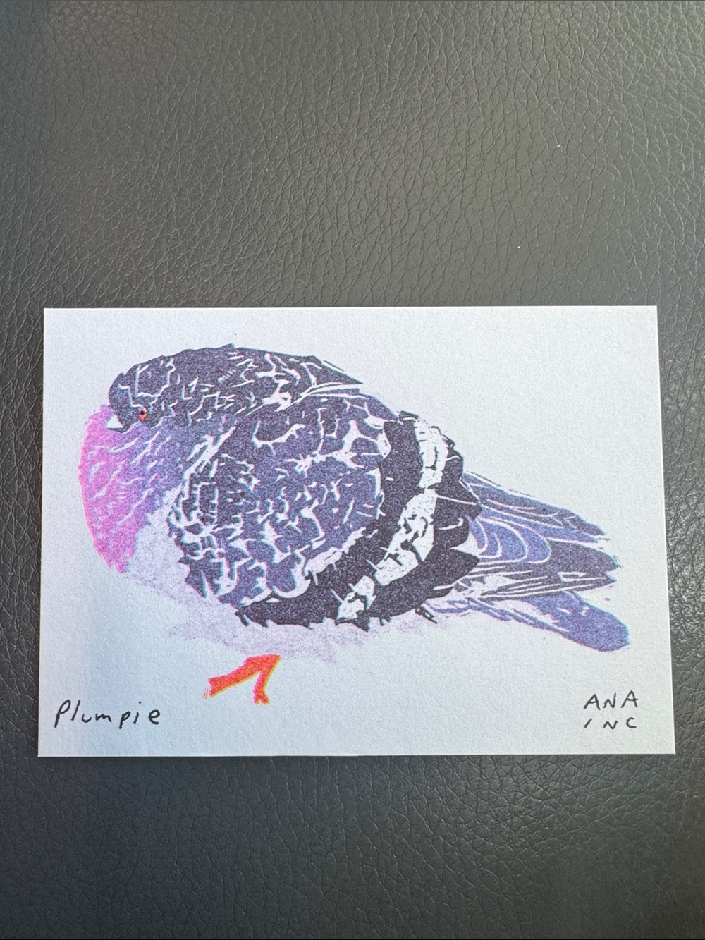 Inciardi - Plumpie Pigeon - Mini Print